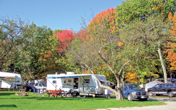 Sunsetview Farm Camping Area Campsite near tree